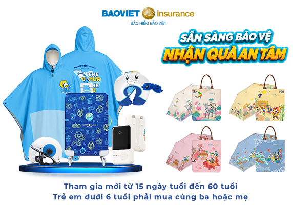 Bảo Việt Insurance