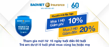 Bảo Việt Insurance
