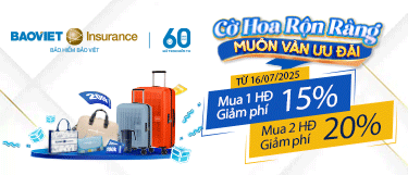 Bảo Việt Insurance