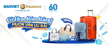 Bảo Việt Insurance