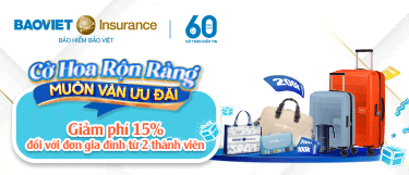 Bảo Việt Insurance