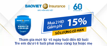 Bảo Việt Insurance