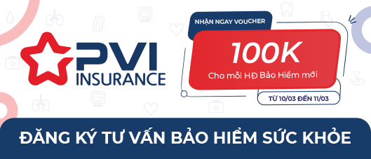 Bảo Việt Insurance