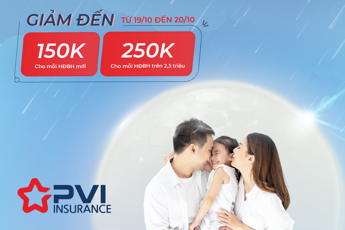 pvi-promotion