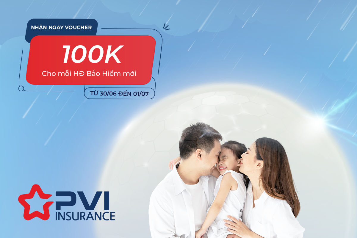 pvi-promotion
