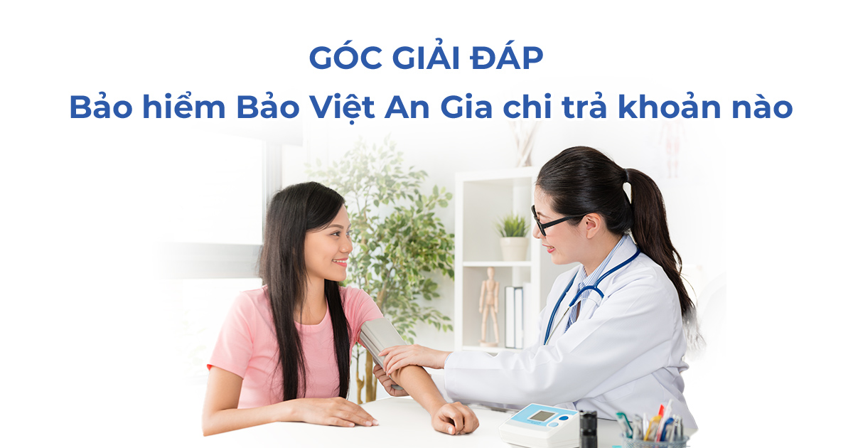 bao-viet-an-gia-chi-tra-nhung-chi-phi-gi-danh-muc-quyen-loi-chi-tiet